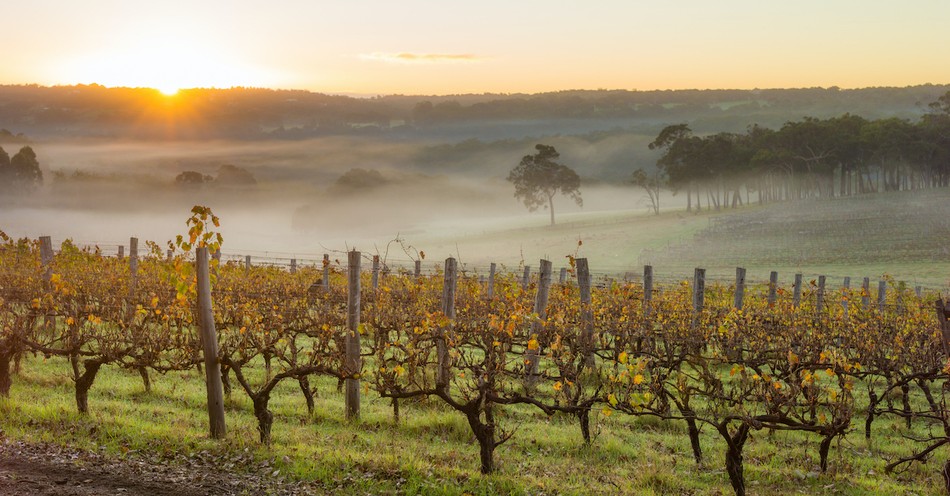 What is a Parable? Bible Meaning and Examples